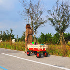 All Terrain Outdoor Wagon